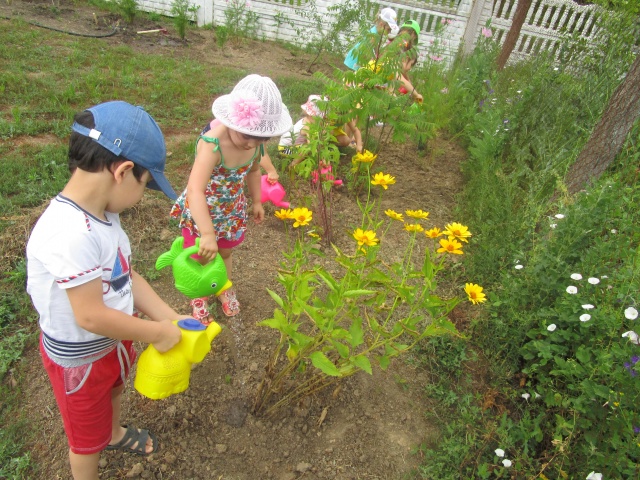 Экологическое воспитание