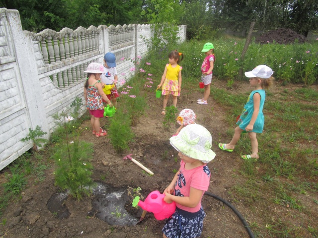 Экологическое воспитание