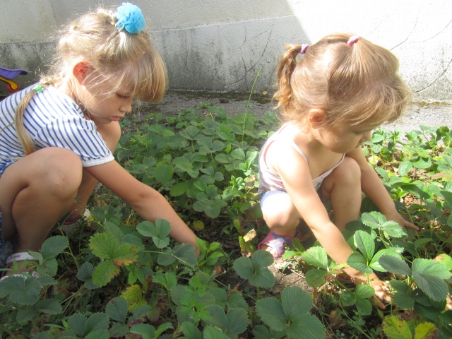 Экологическое воспитание